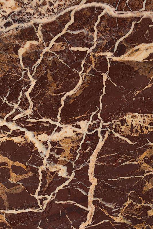 Bold Monkey abilaud It's Marblelicious
