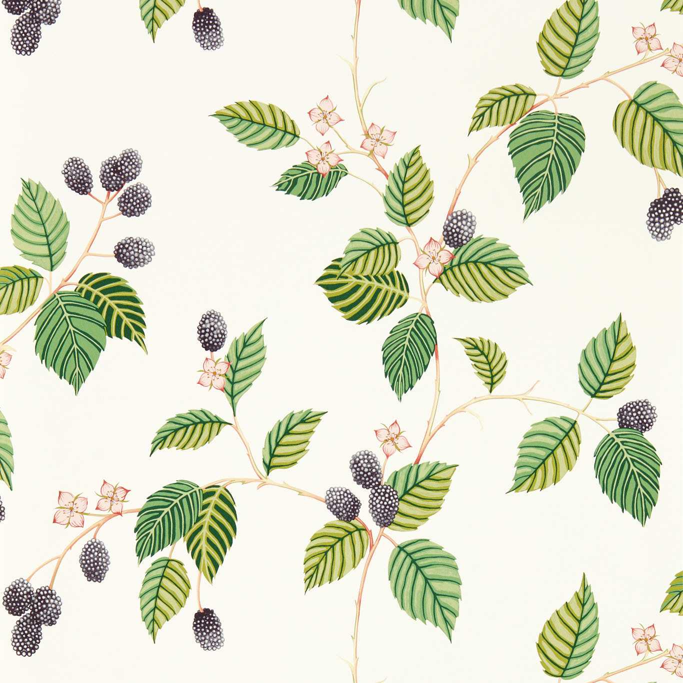 Sanderson tapeet Rubus