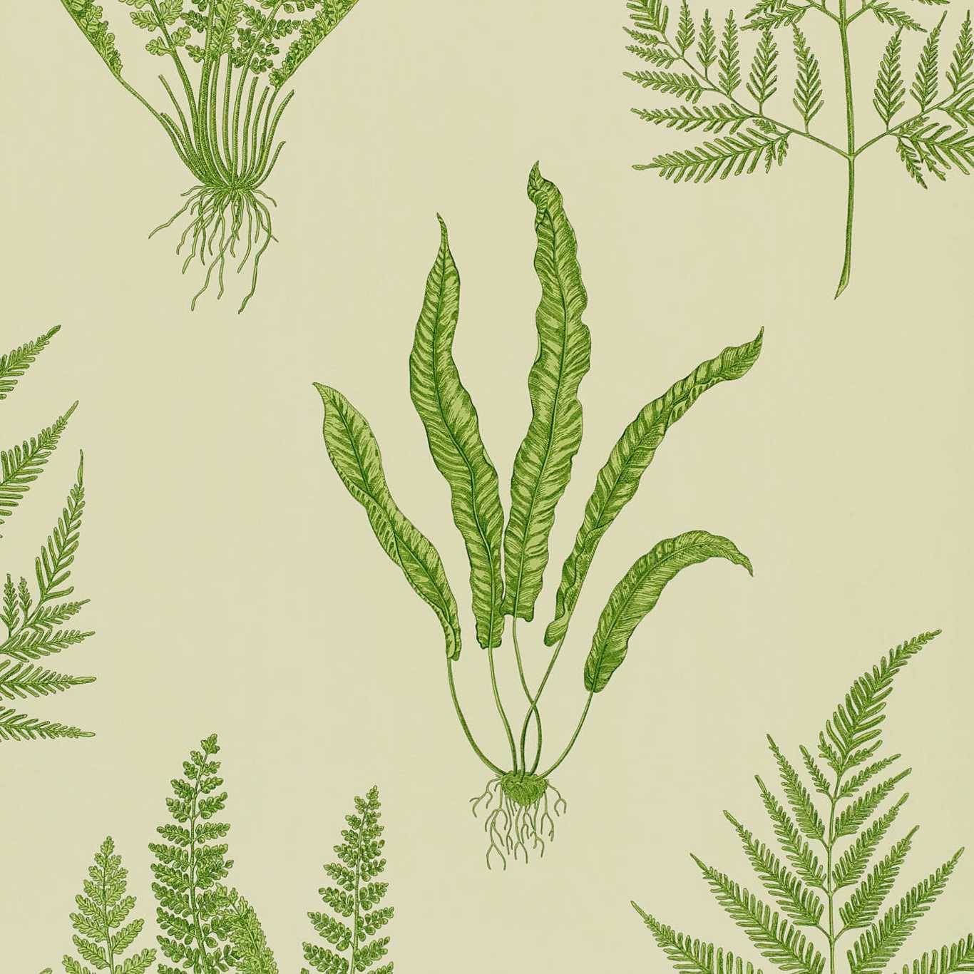Flat Shots Sanderson tapeet Woodland Ferns