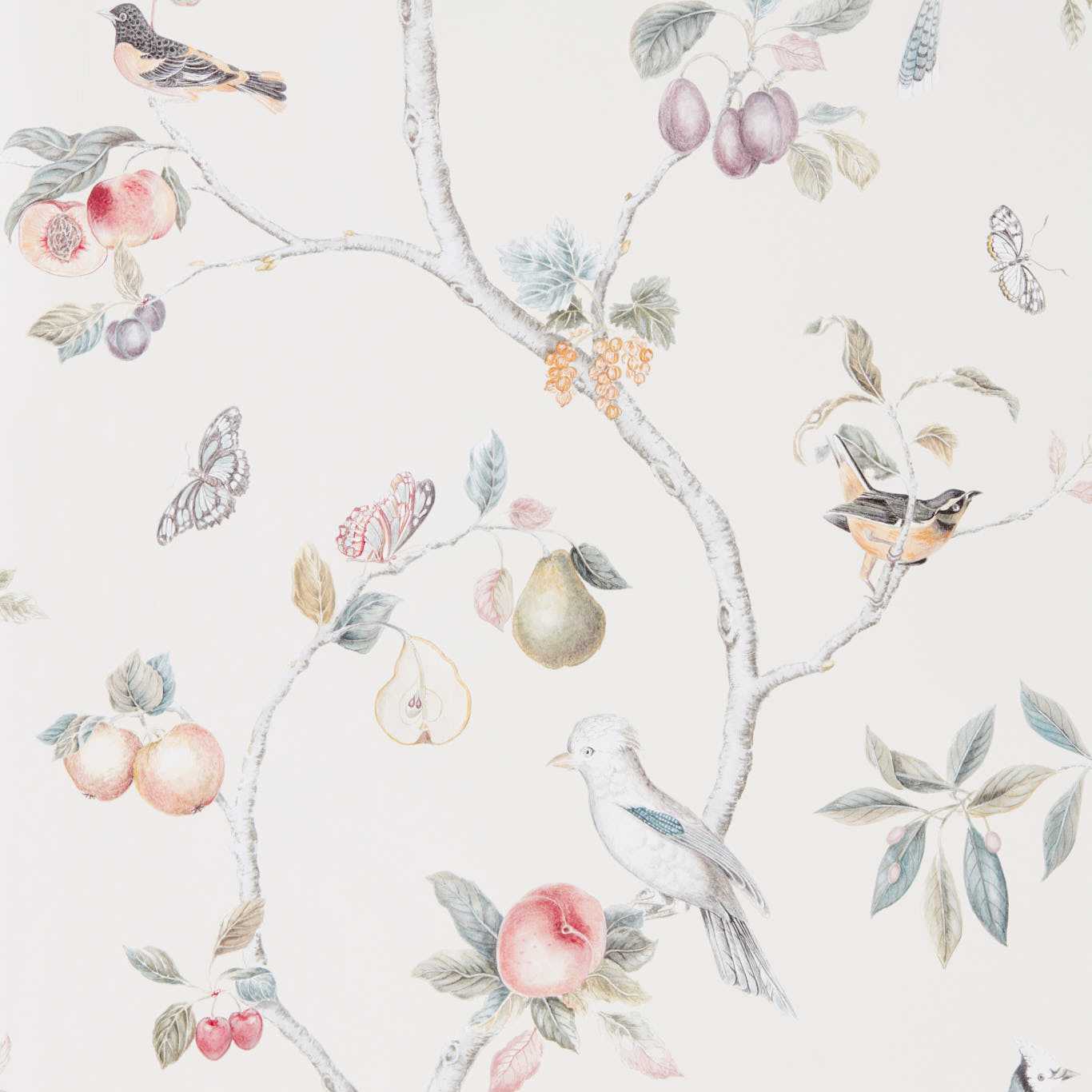 Sanderson tapeet Fruit Aviary