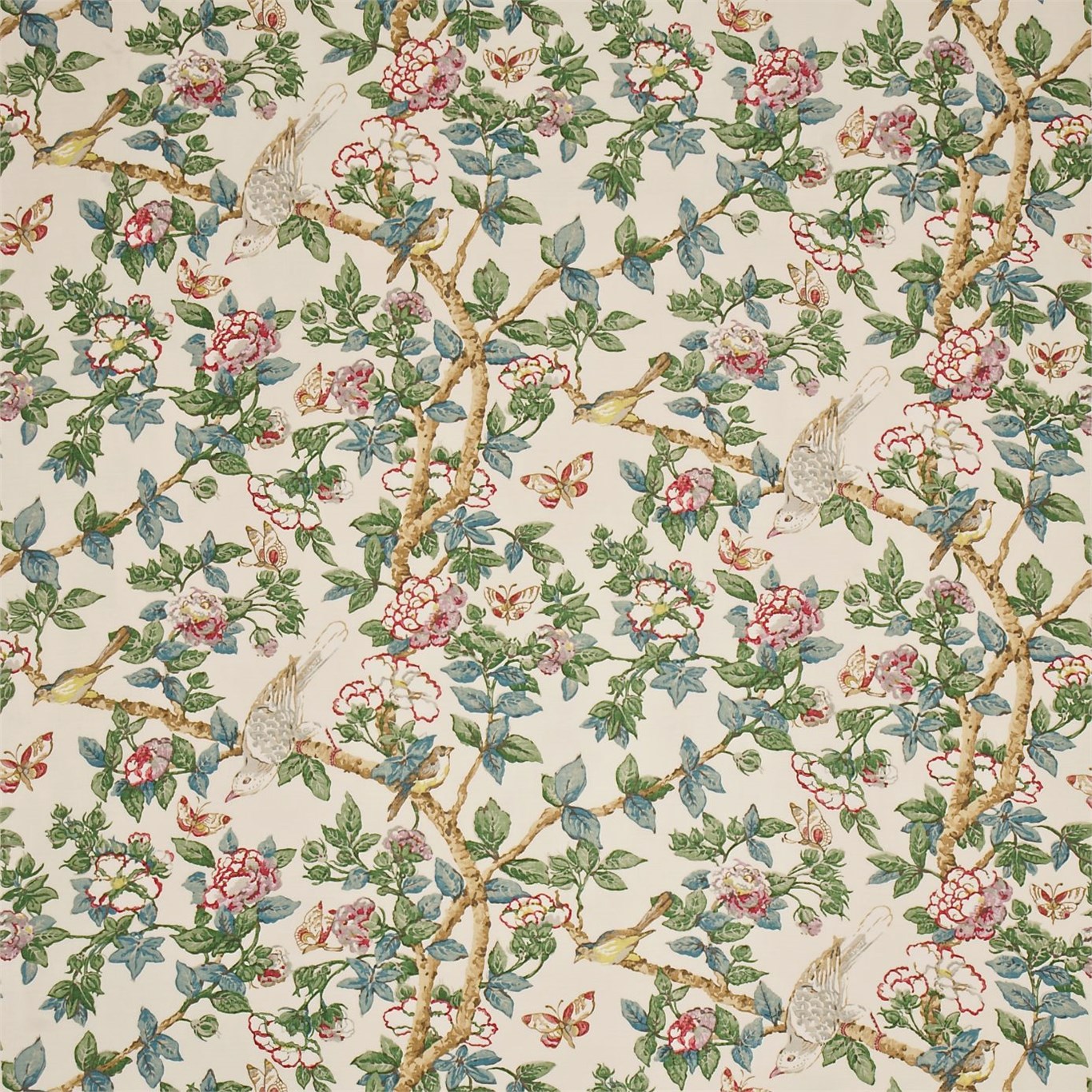 Sanderson kangas Caverley