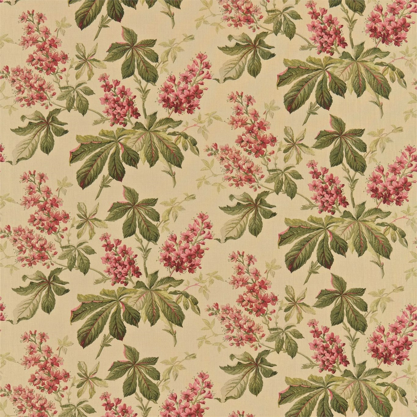 Sanderson kangas Pavia