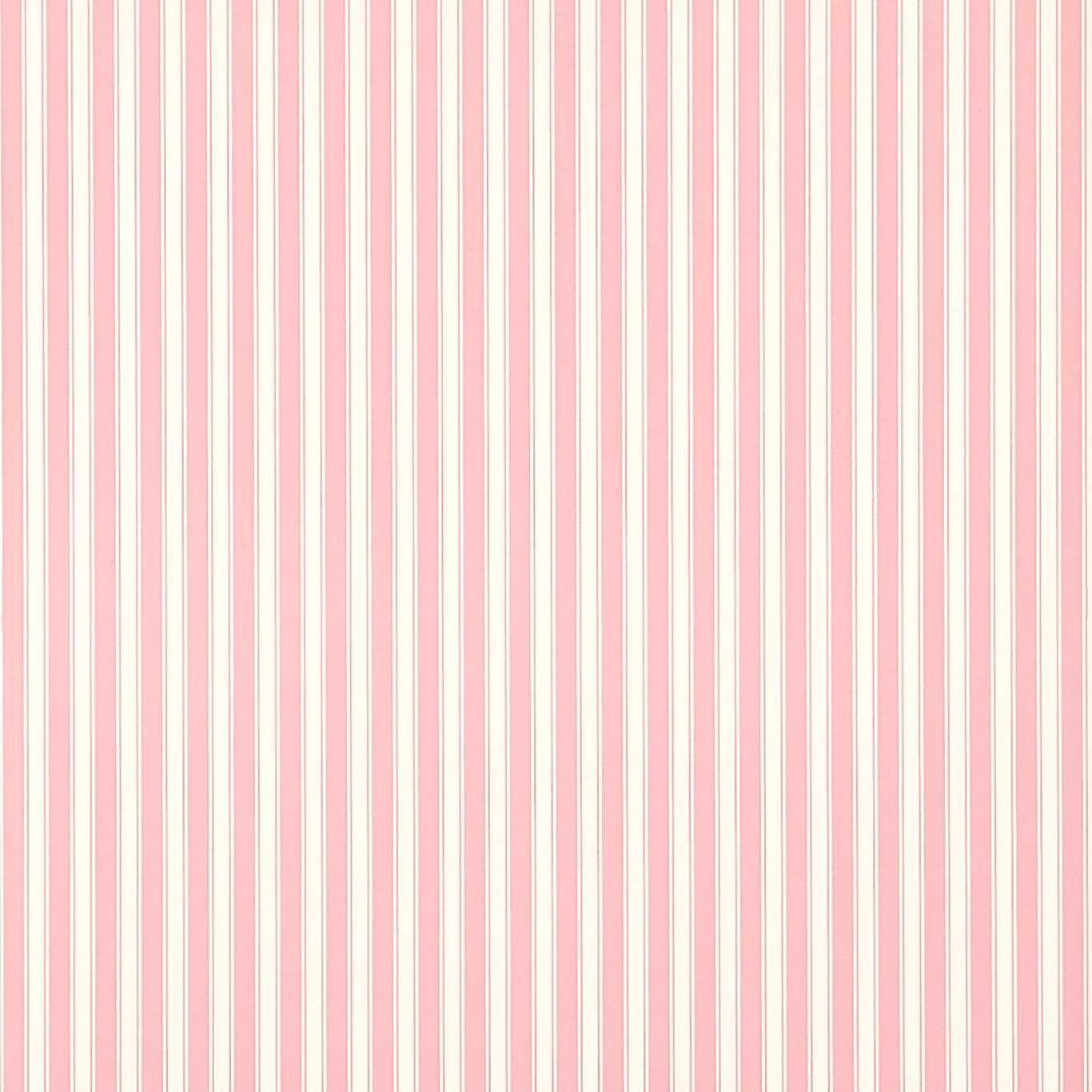 Sanderson tapeet New Tiger Stripe
