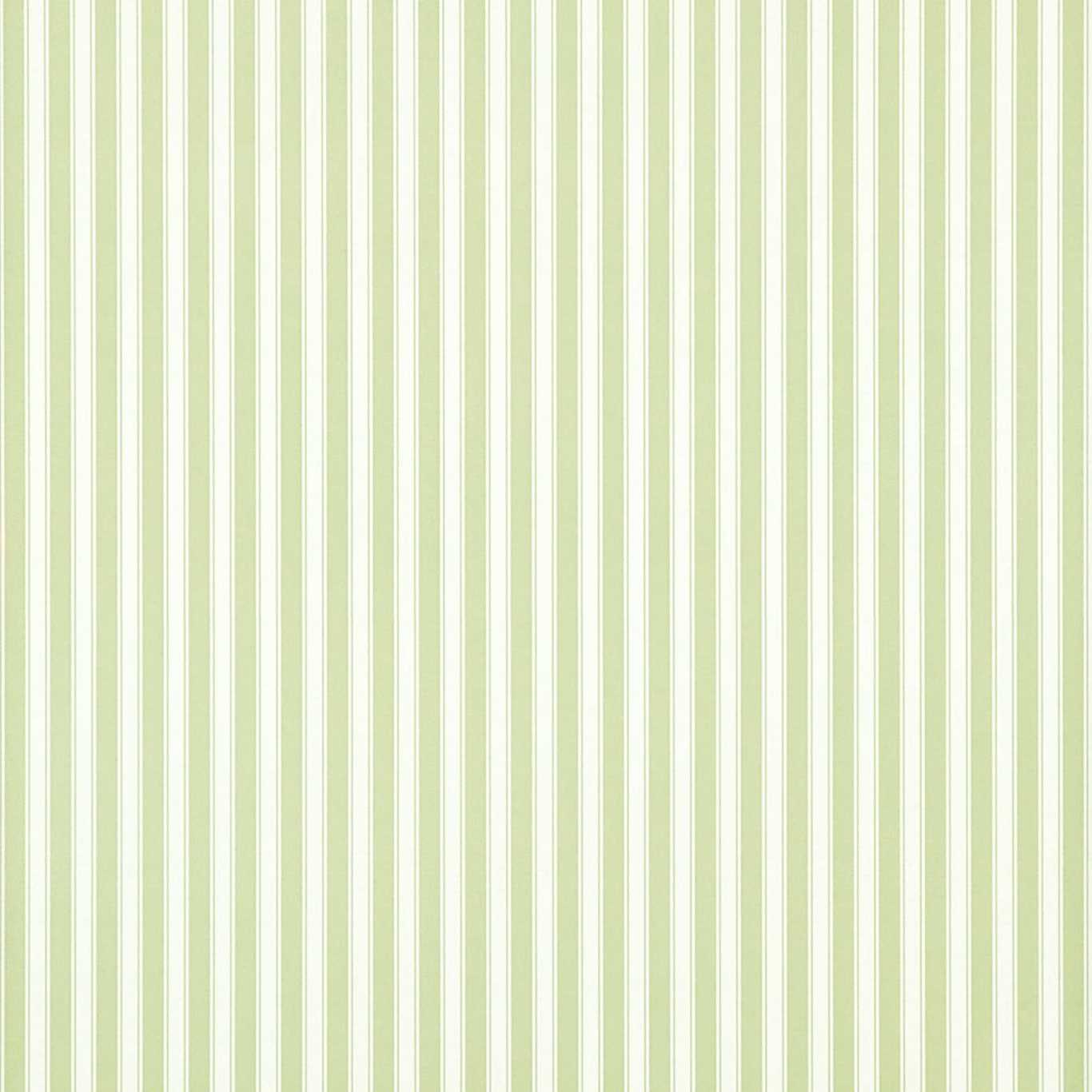 Sanderson tapeet New Tiger Stripe