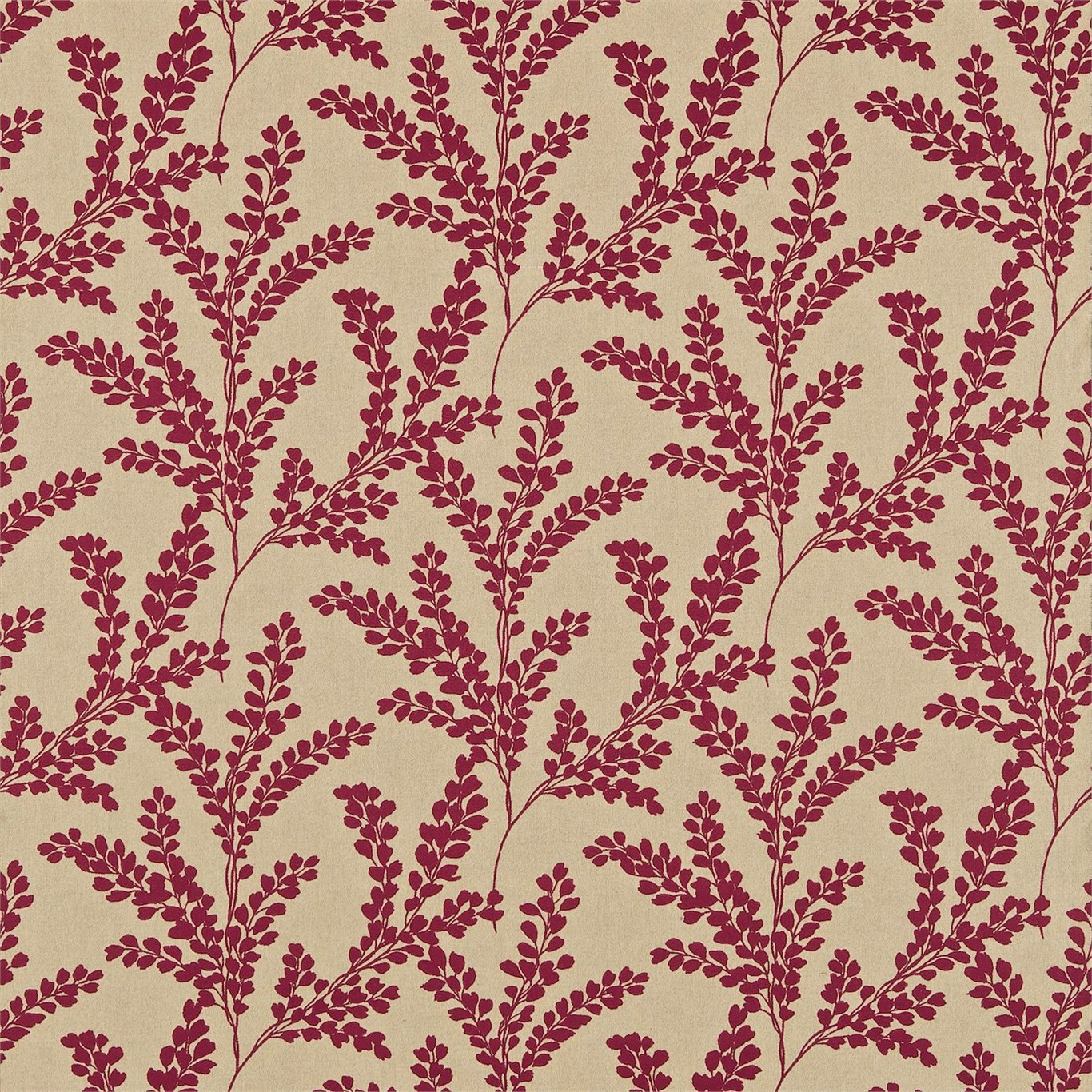 Sanderson kangas Clovelly
