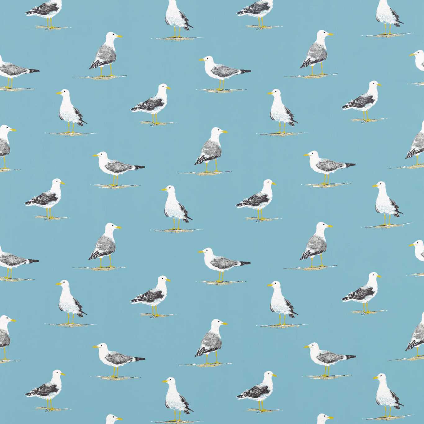 Sanderson kangas Shore Birds