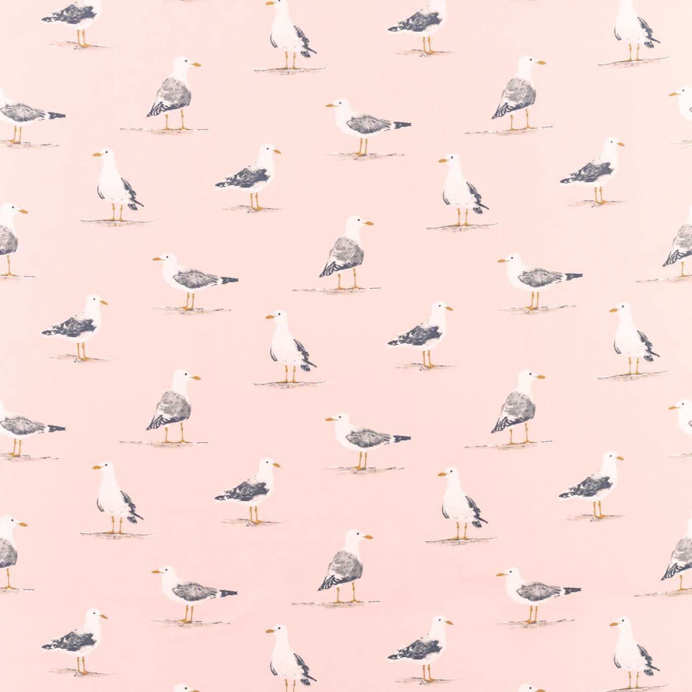 Sanderson kangas Shore Birds