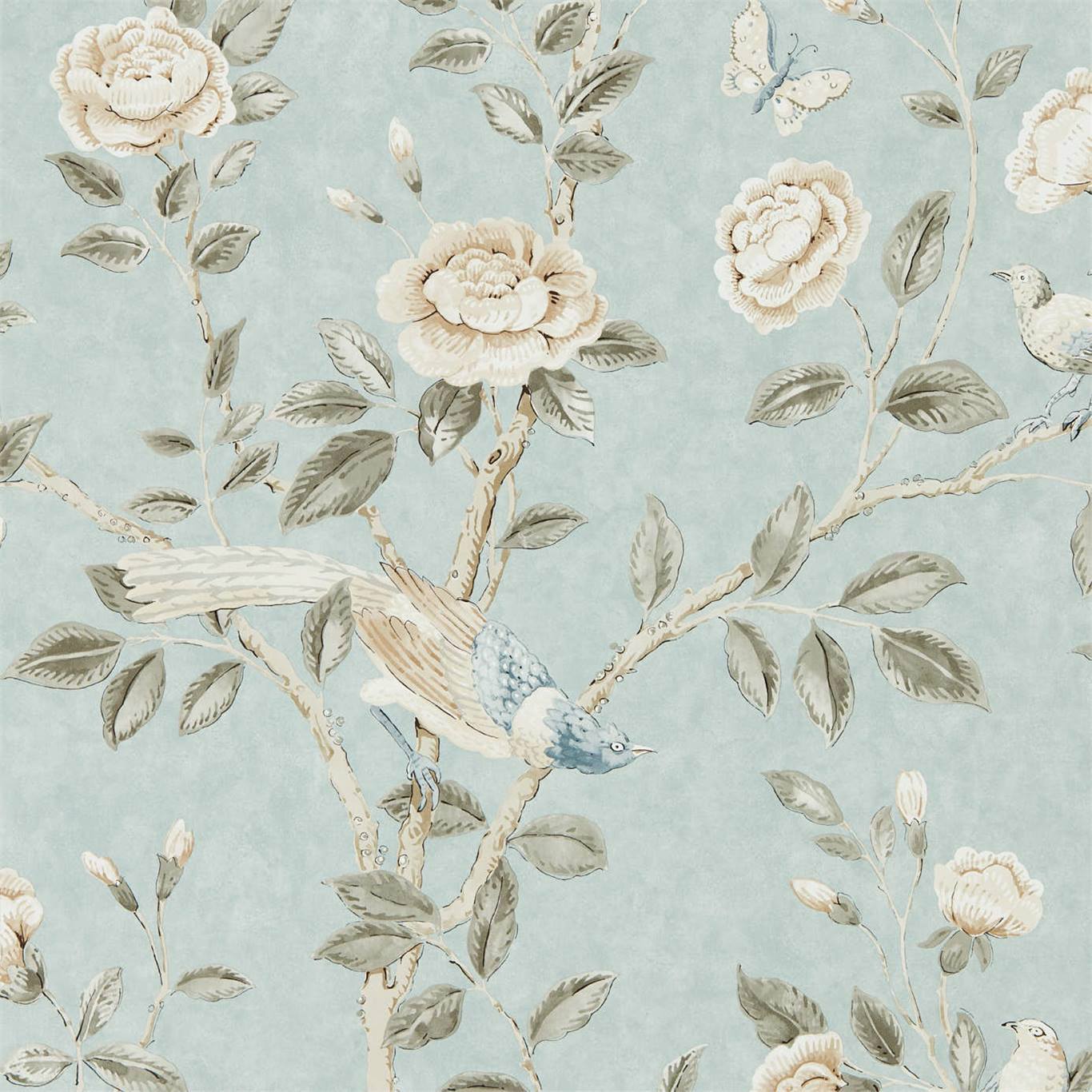 Sanderson tapeet Andhara