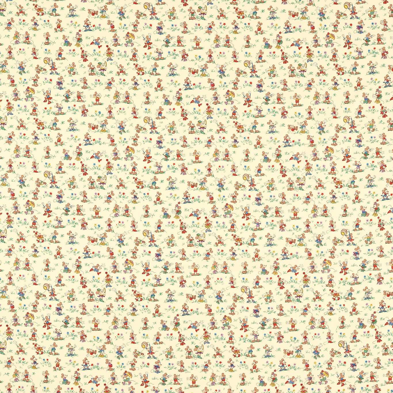 Sanderson kangas Mickey & Minnie