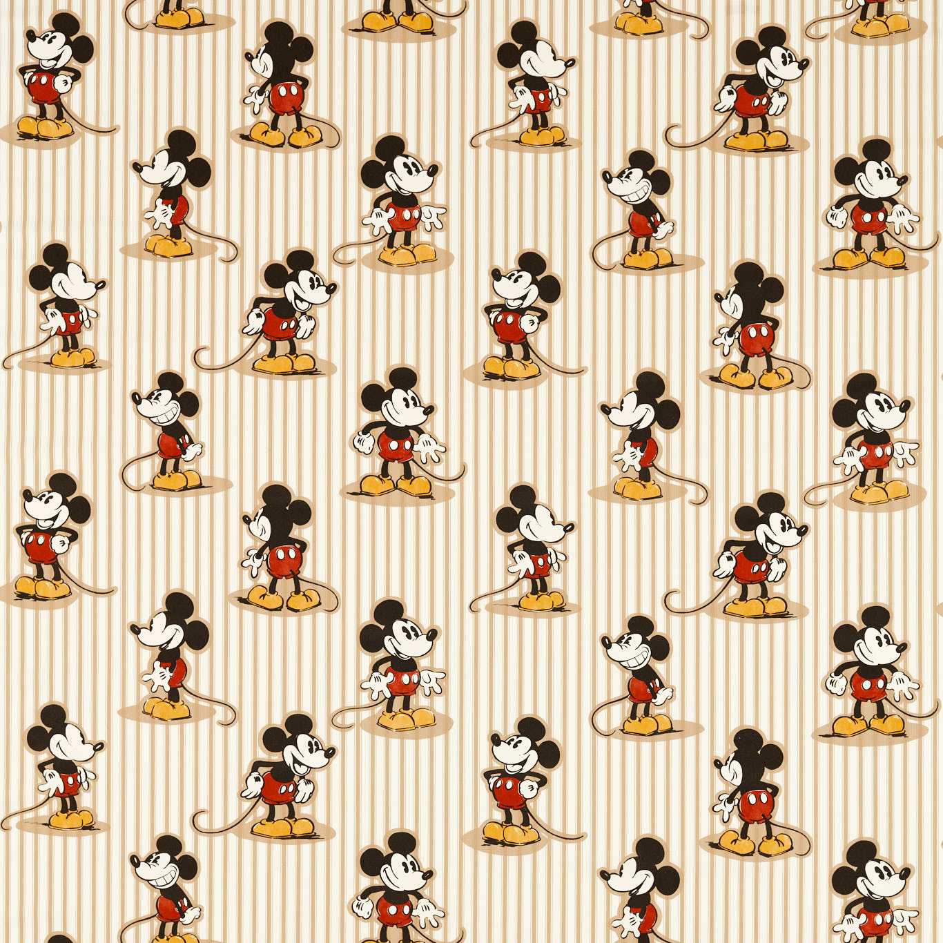 Sanderson kangas Mickey Stripe
