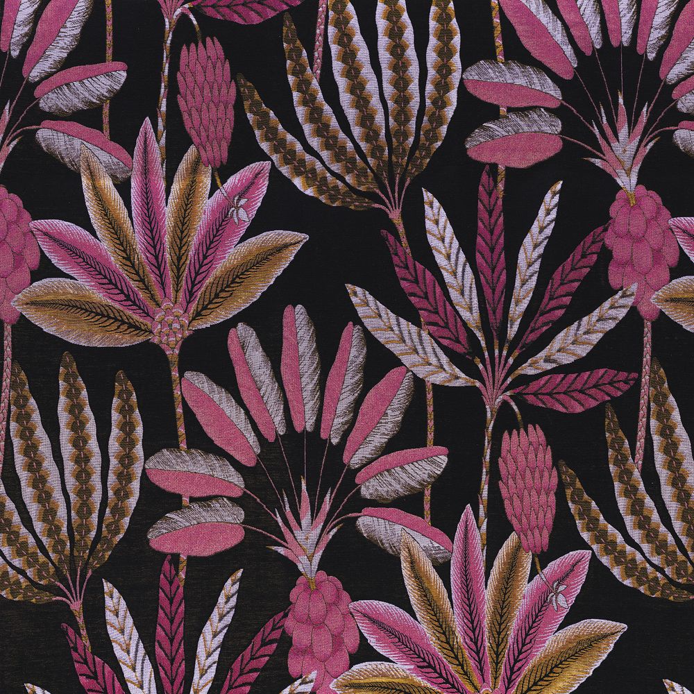 Camengo kangas Phloème Fuschia