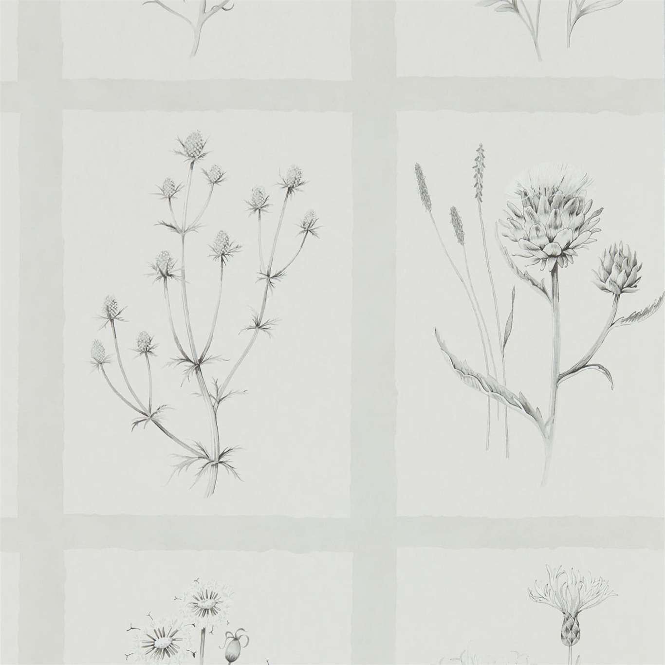 Sanderson tapeet Little Thistles