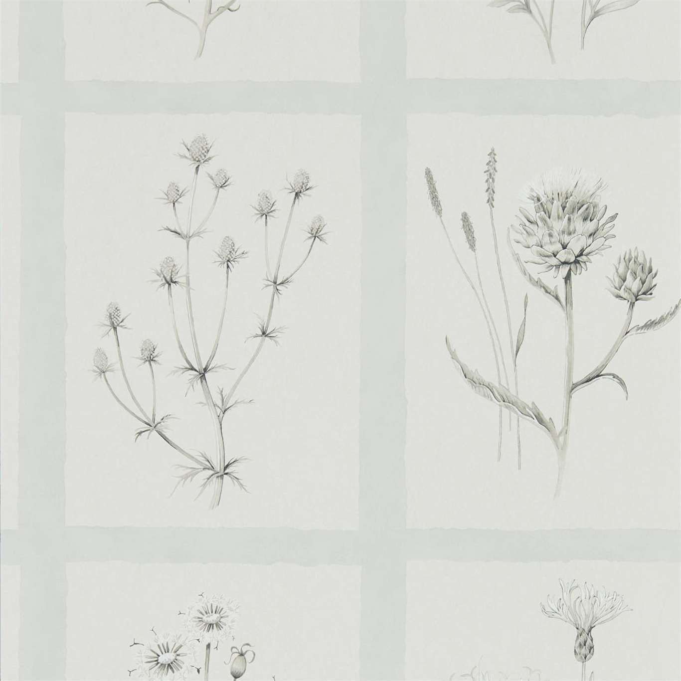 Sanderson tapeet Little Thistles