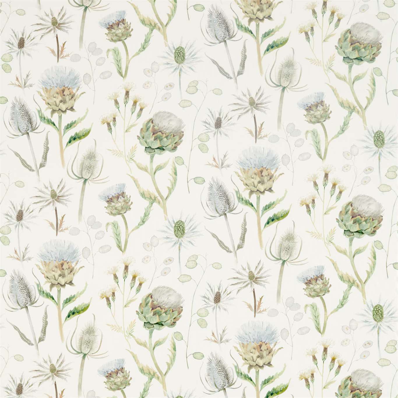 Sanderson kangas Thistle Garden