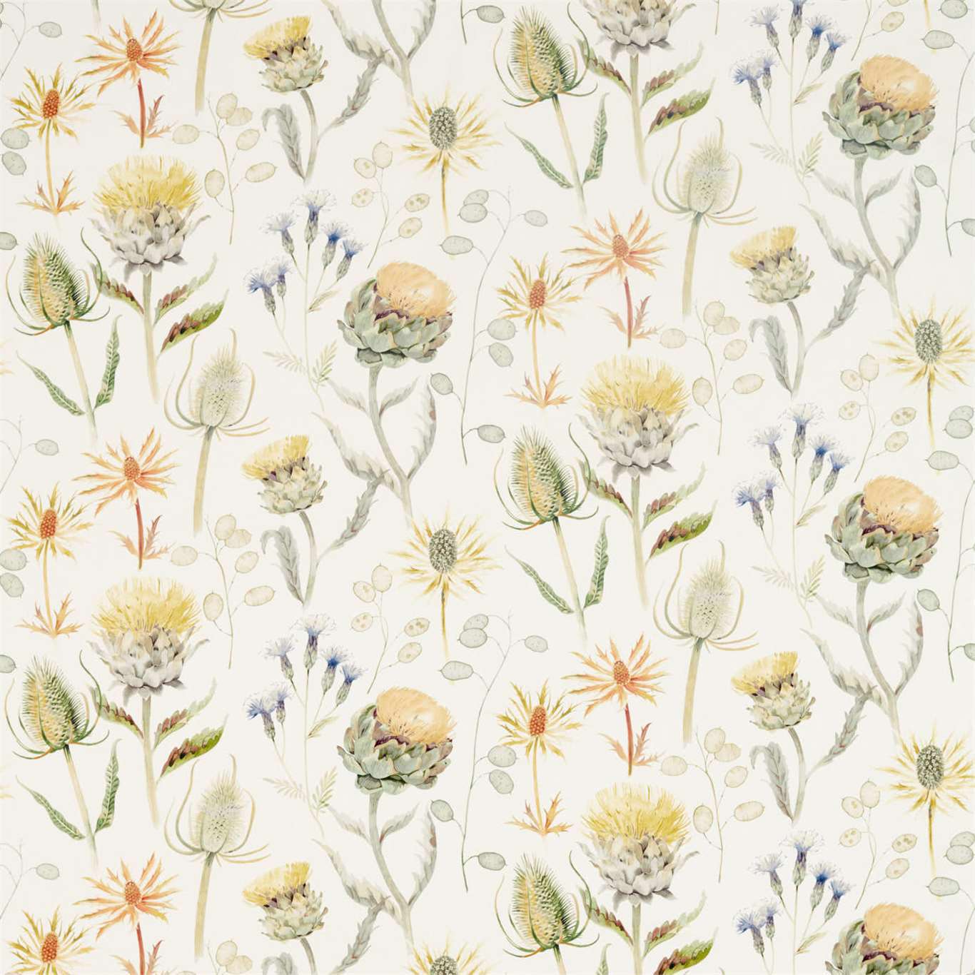 Sanderson kangas Thistle Garden