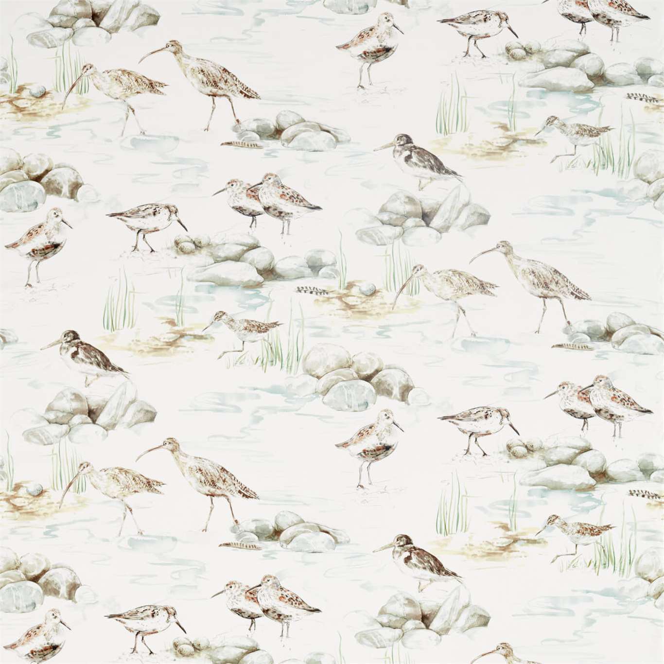 Sanderson kangas Estuary Birds