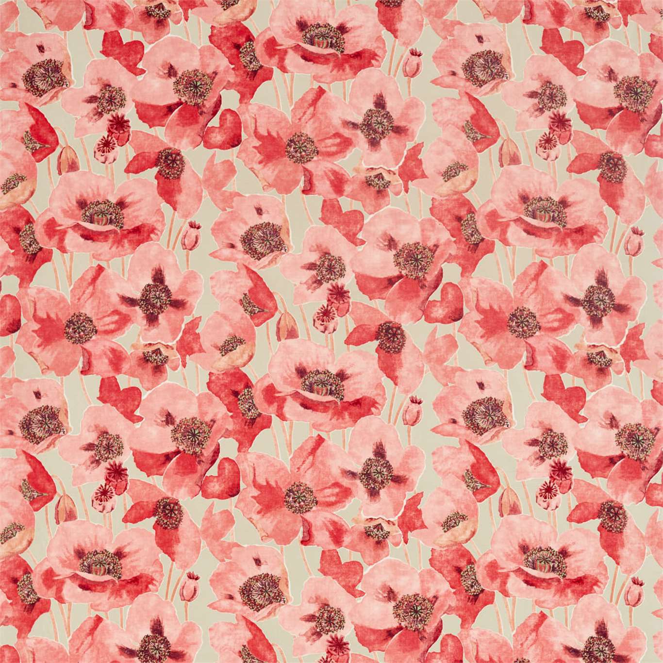Sanderson kangas Embleton