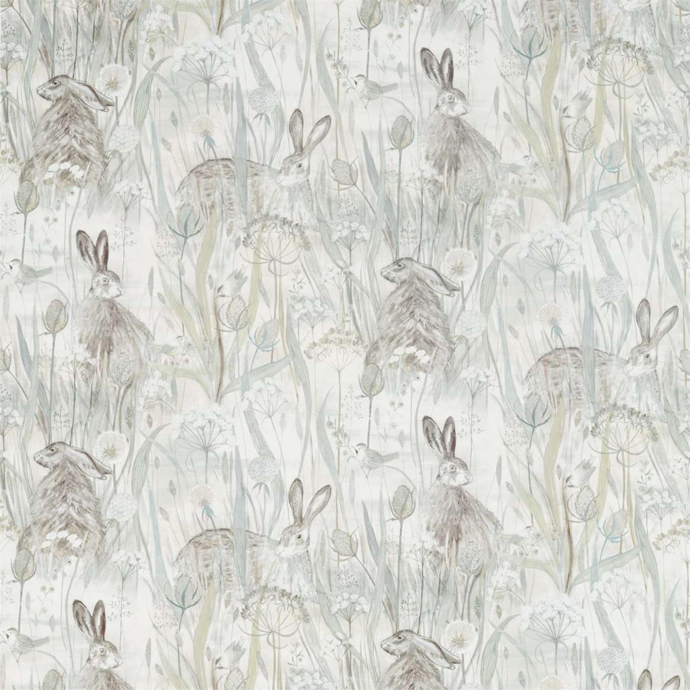 Sanderson kangas Dune Hares