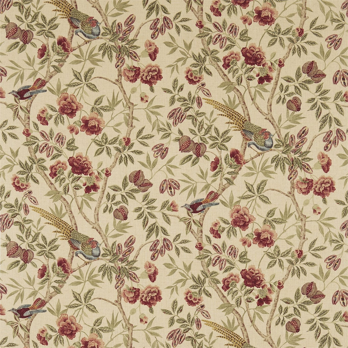 Sanderson kangas Abbeville