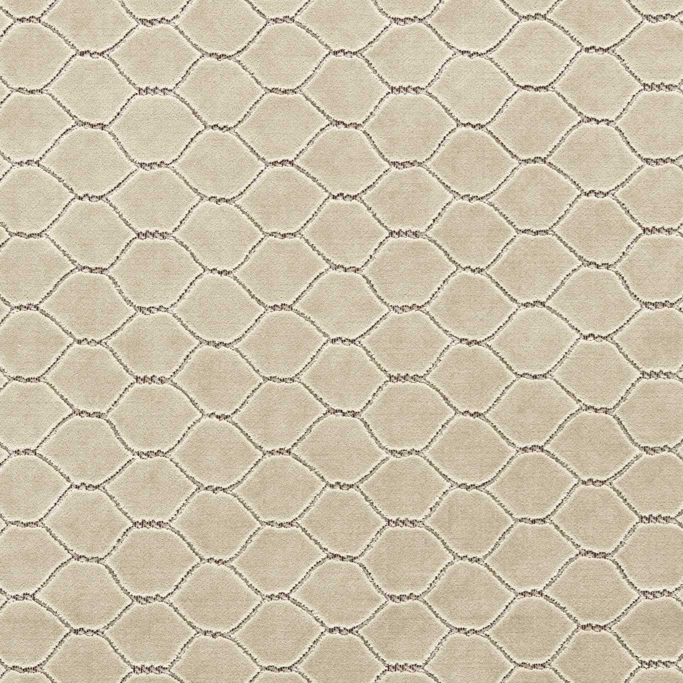 Sanderson kangas Faraday Velvet
