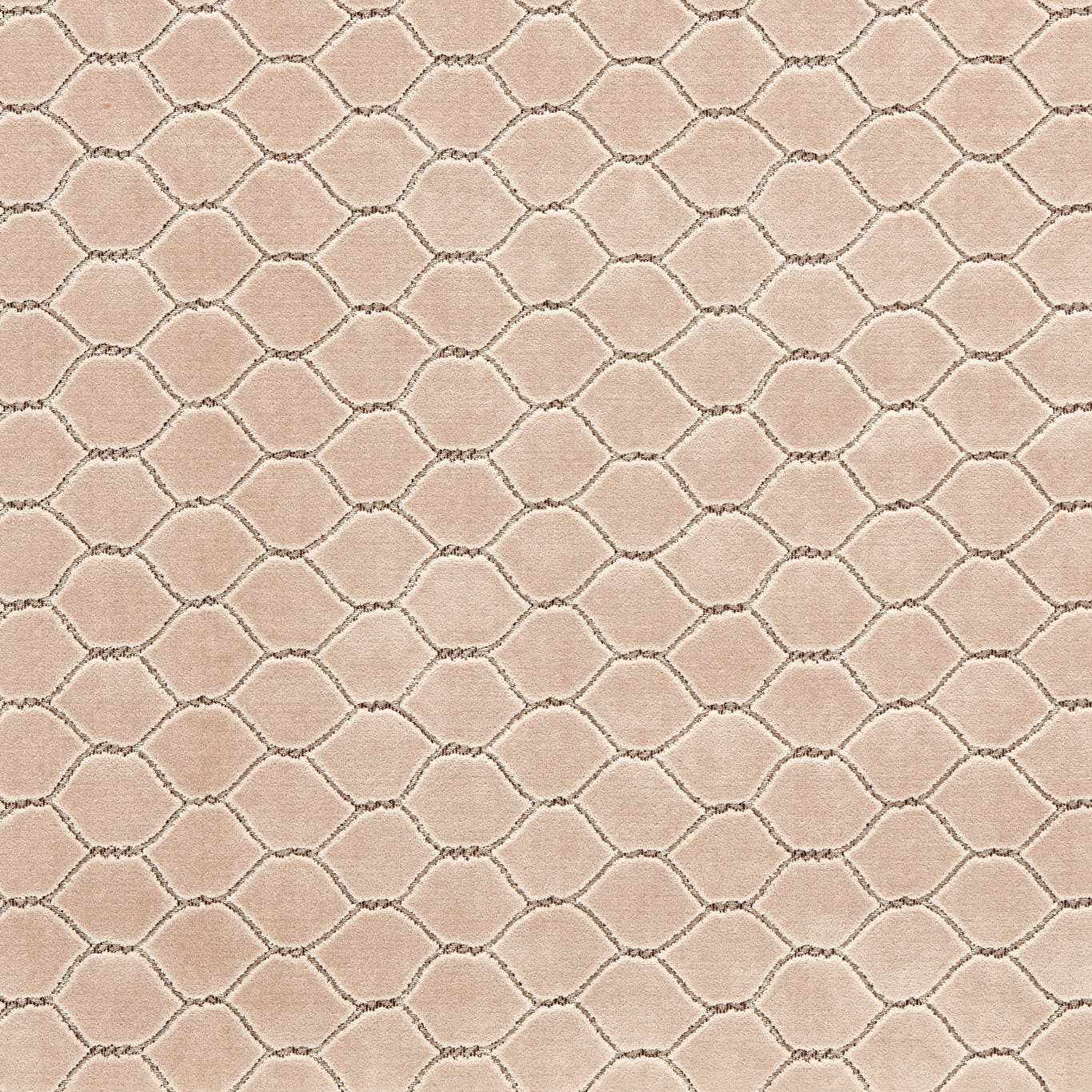 Sanderson kangas Faraday Velvet
