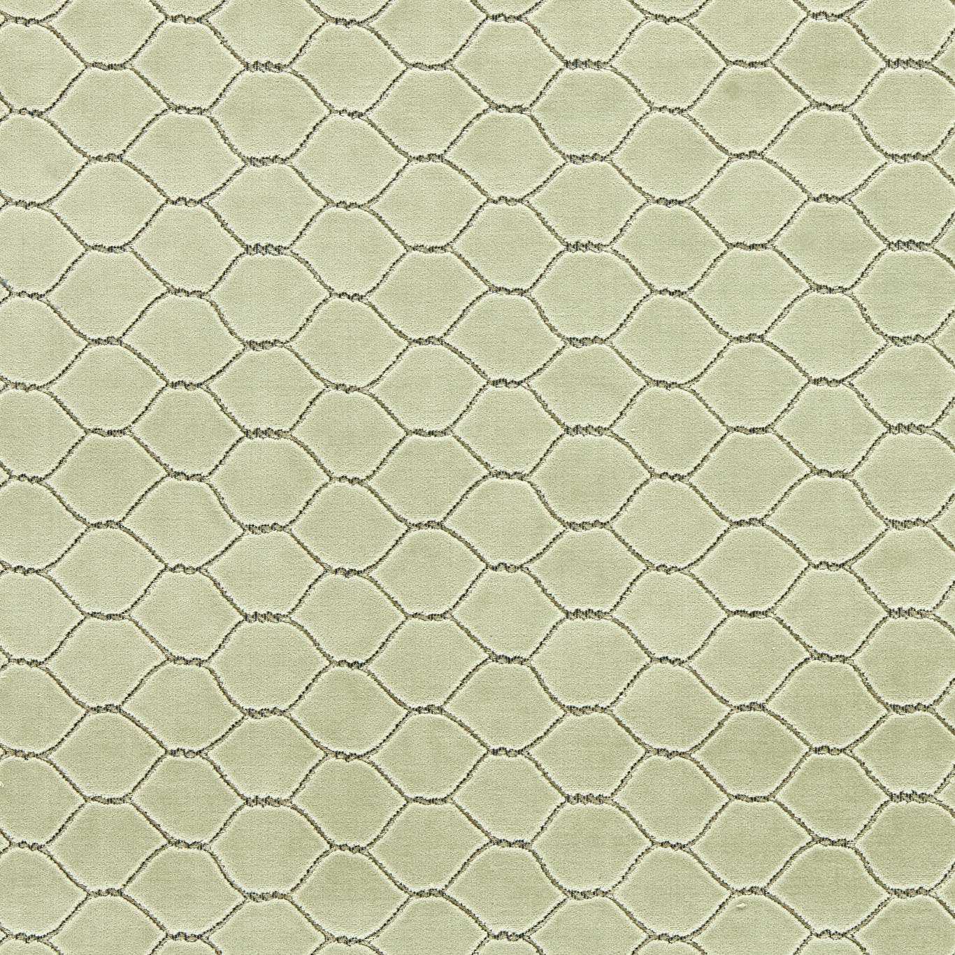 Sanderson kangas Faraday Velvet