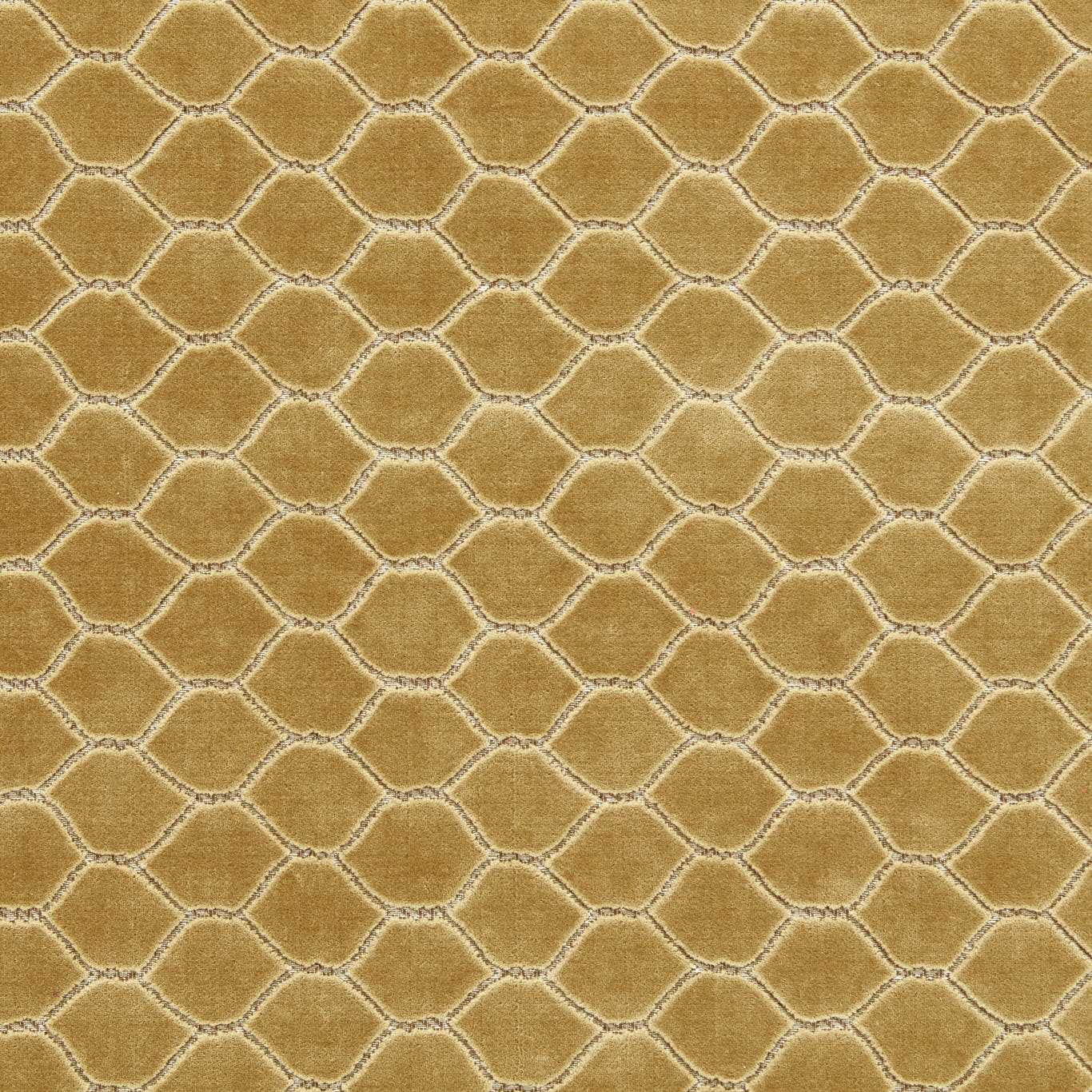 Sanderson kangas Faraday Velvet