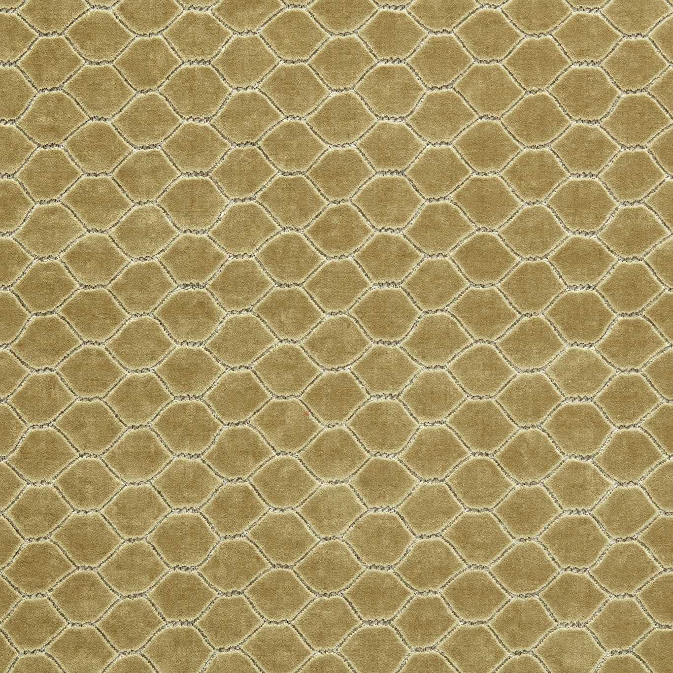Sanderson kangas Faraday Velvet