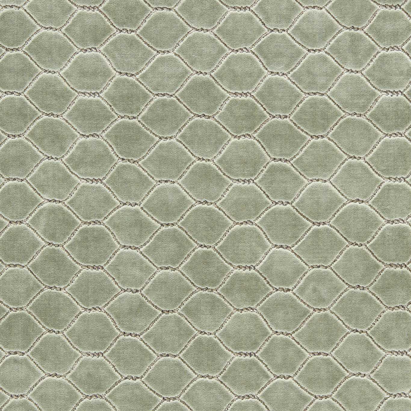Sanderson kangas Faraday Velvet
