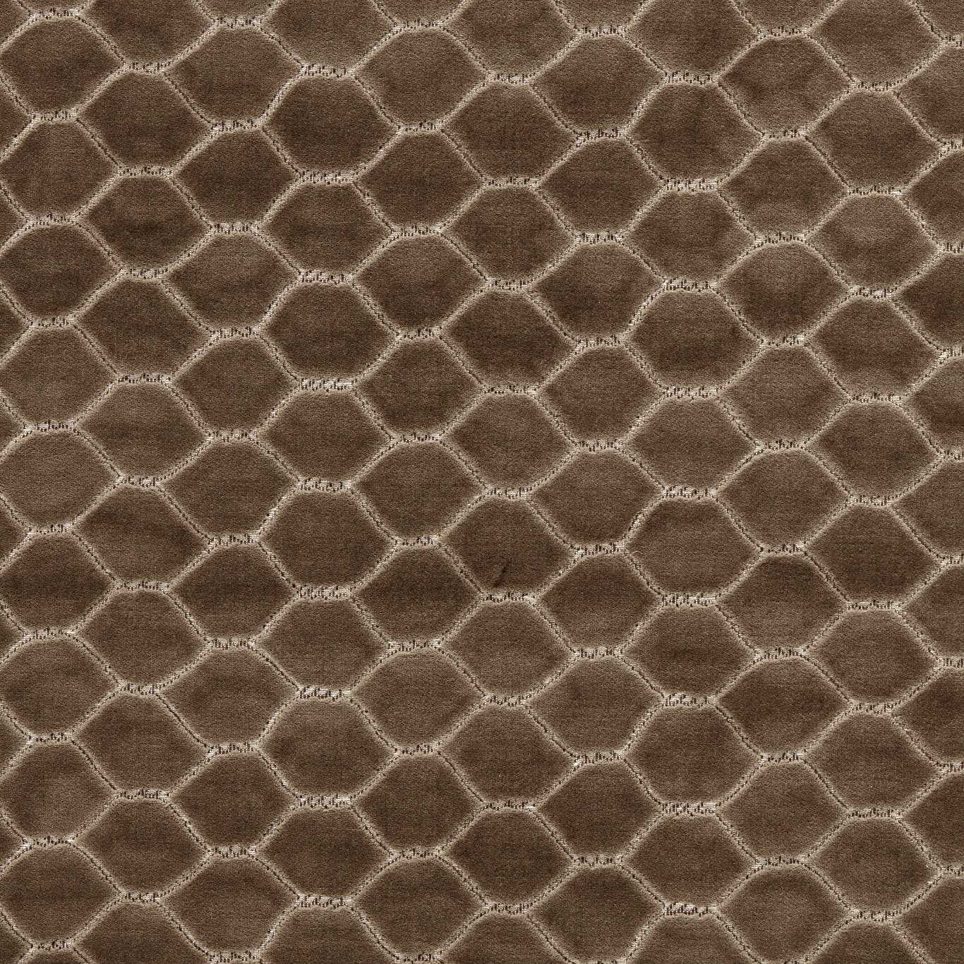 Sanderson kangas Faraday Velvet