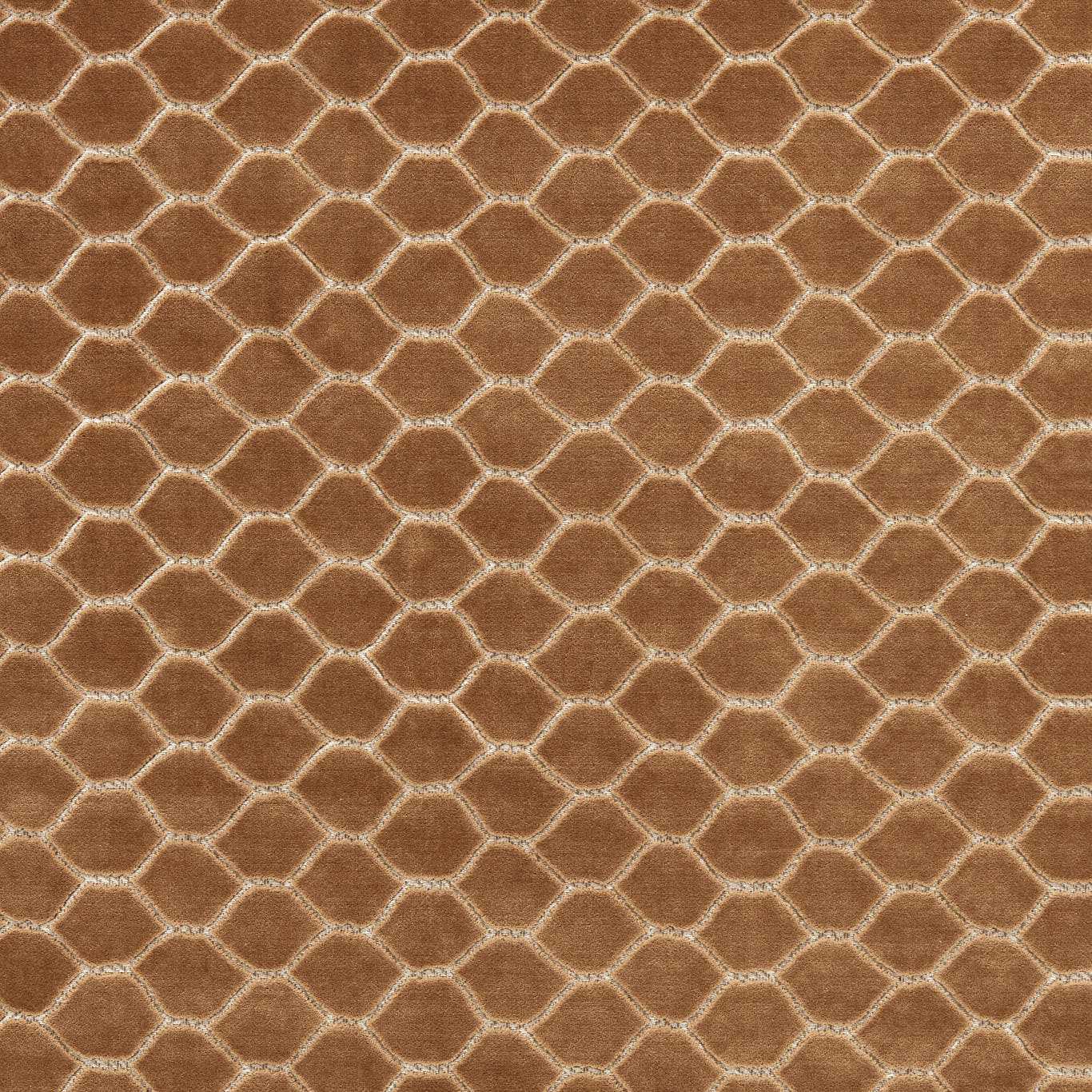 Sanderson kangas Faraday Velvet