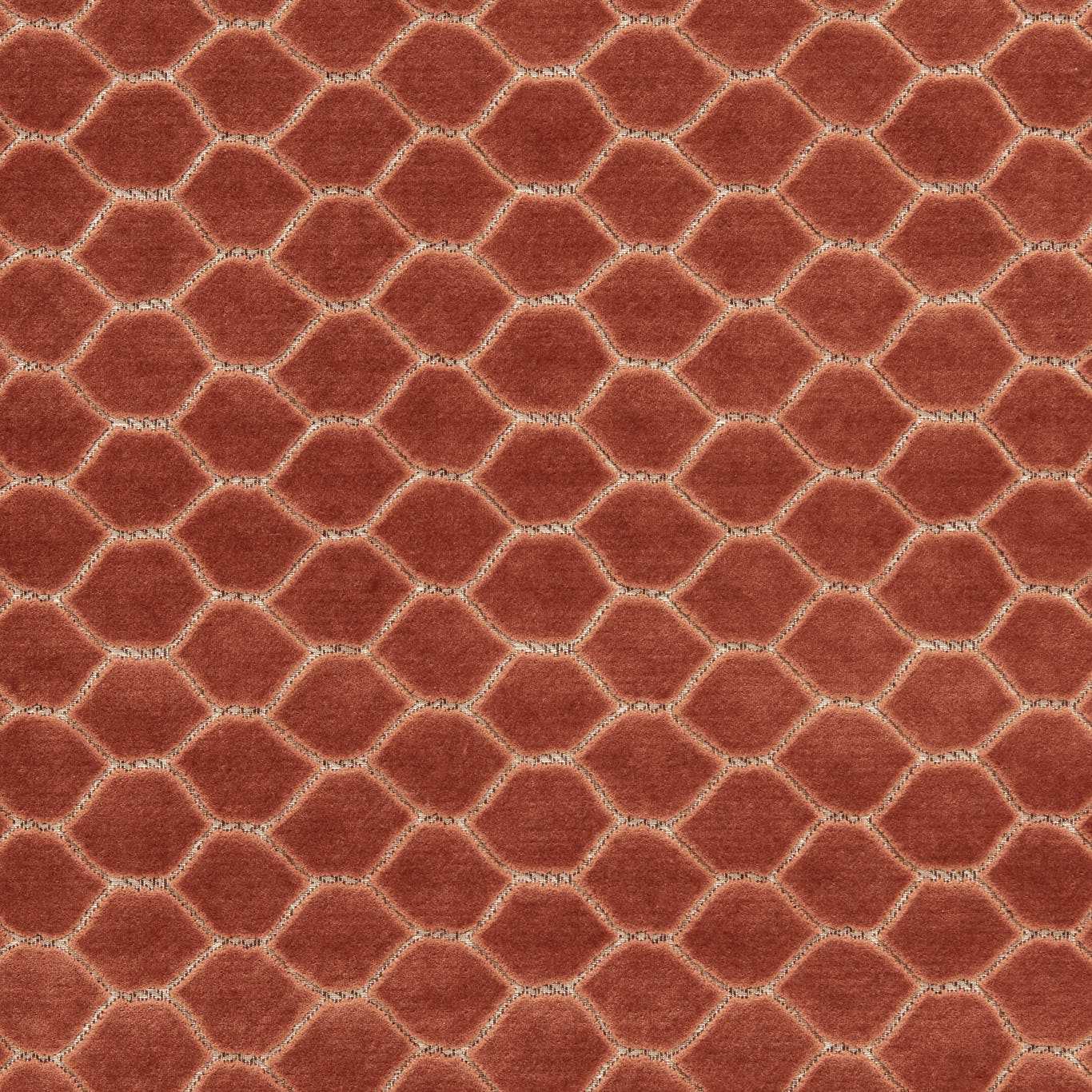 Sanderson kangas Faraday Velvet