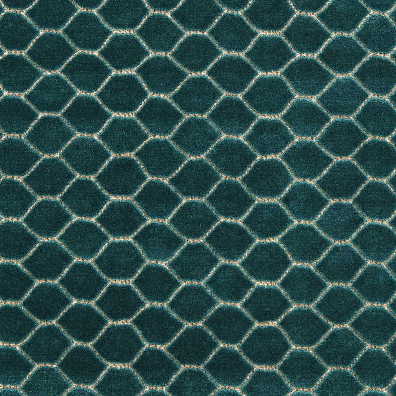 Sanderson kangas Faraday Velvet