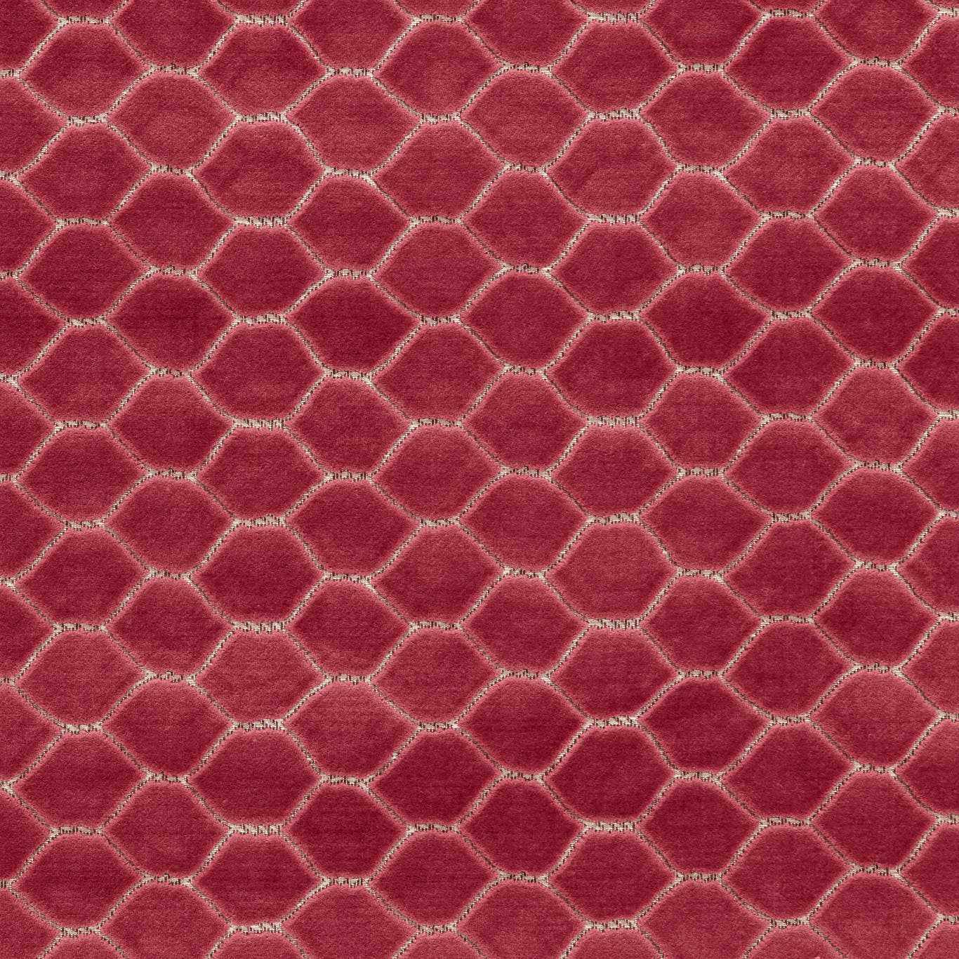 Sanderson kangas Faraday Velvet
