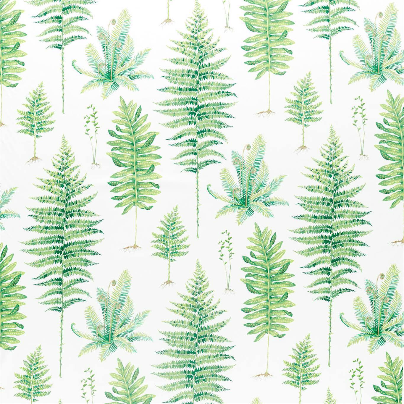 Sanderson kangas Fernery