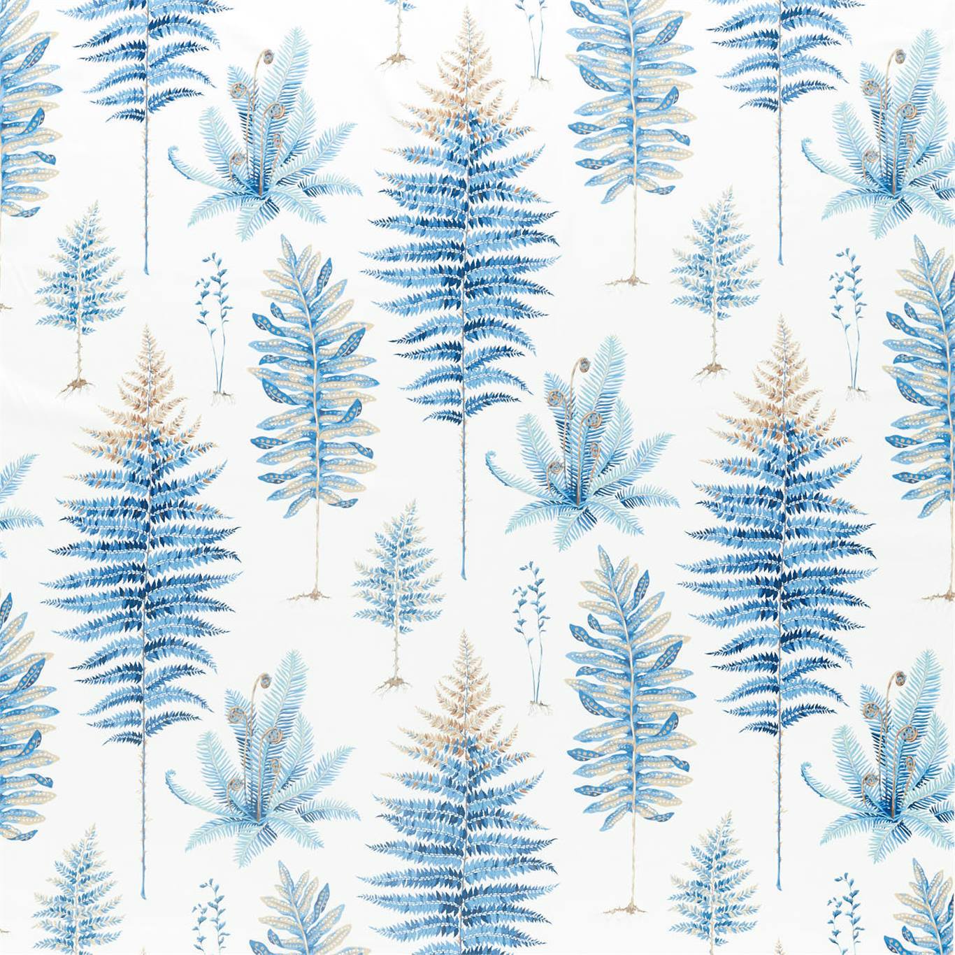 Sanderson kangas Fernery