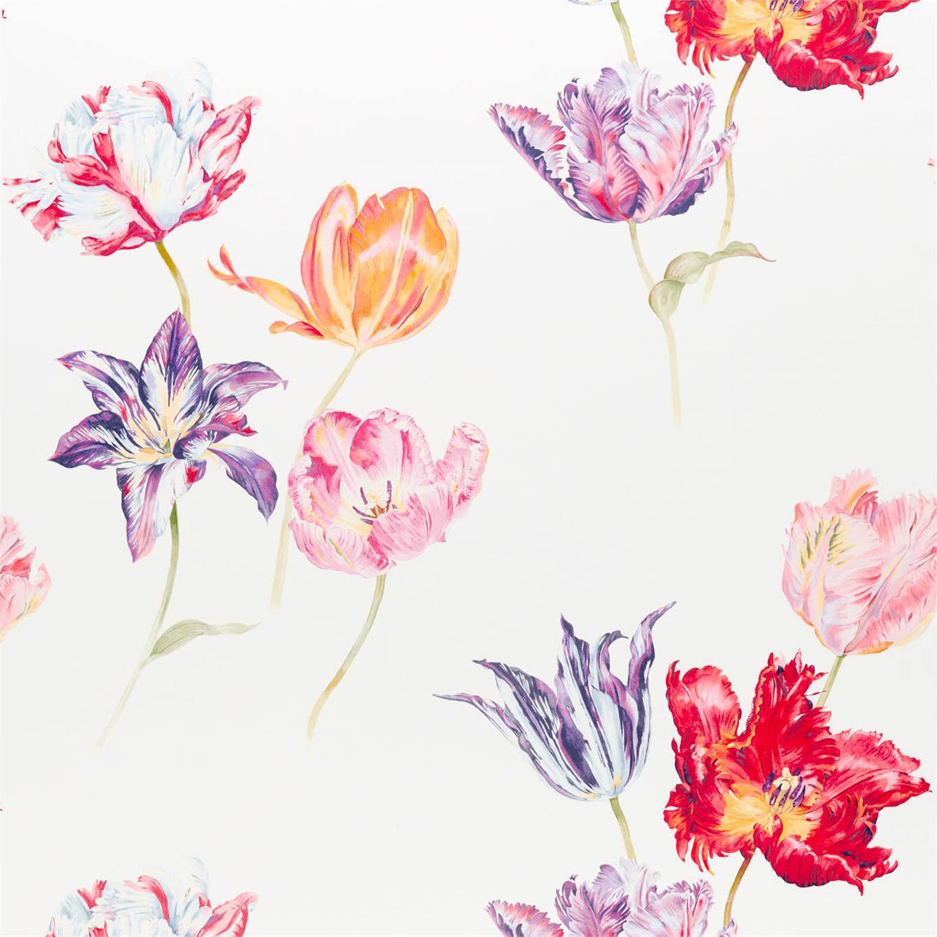 Sanderson kangas Tulipomania