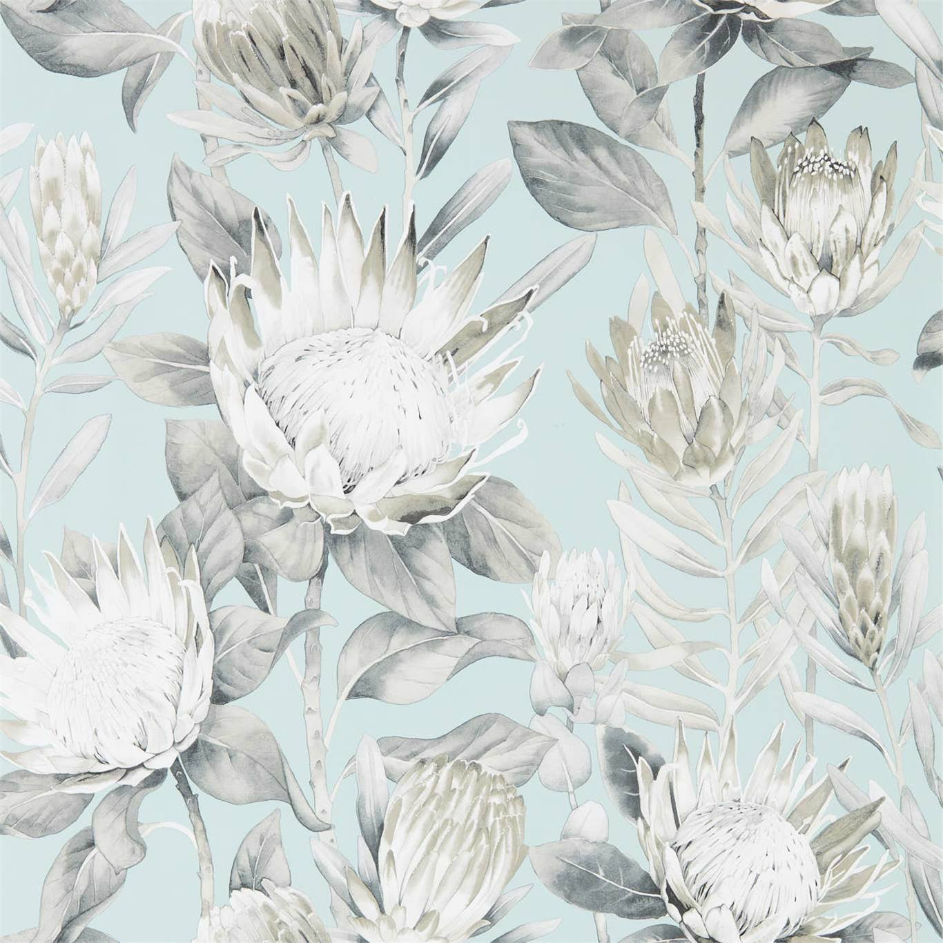 dglw216645 Sanderson tapeet King Protea