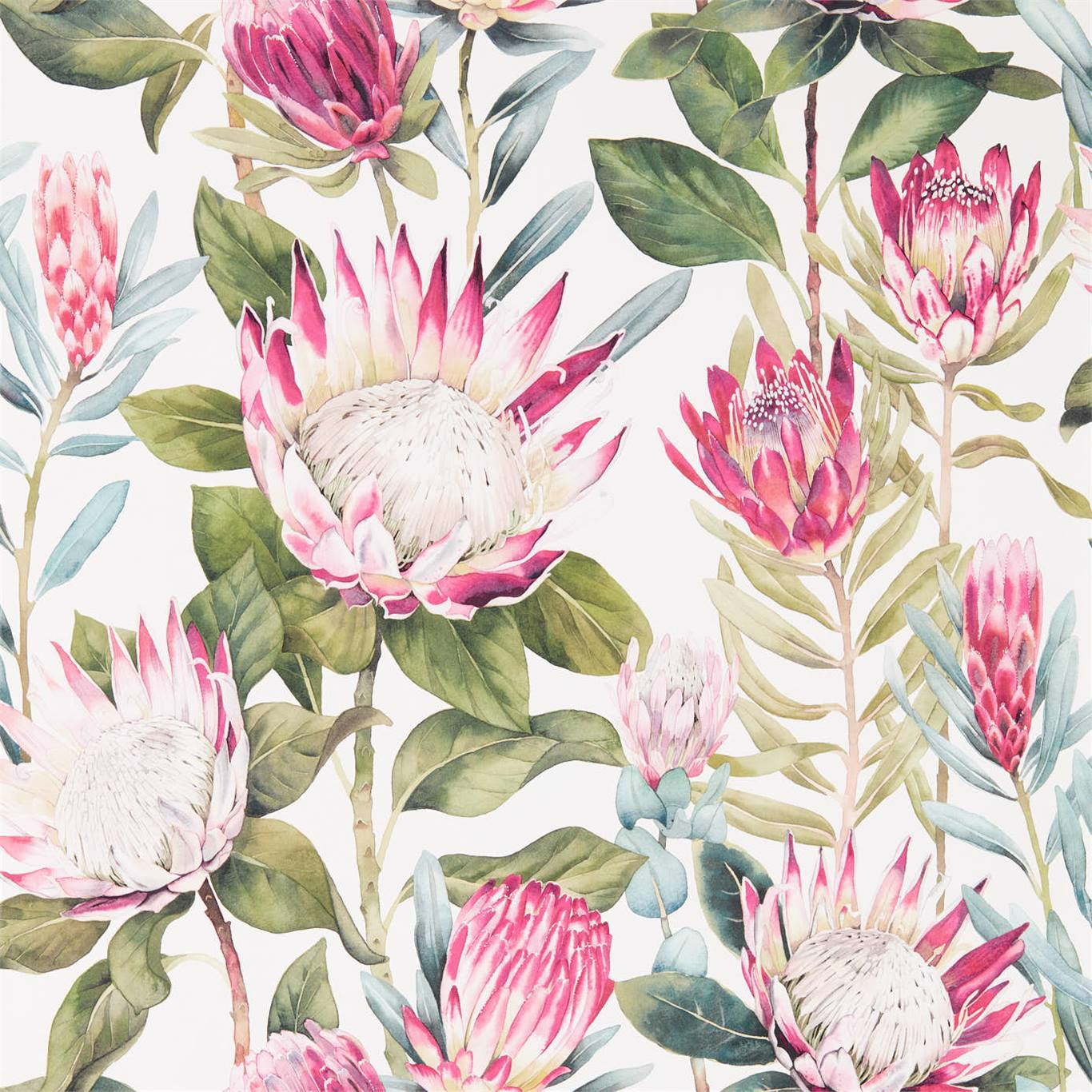 dglw216646 Sanderson tapeet King Protea
