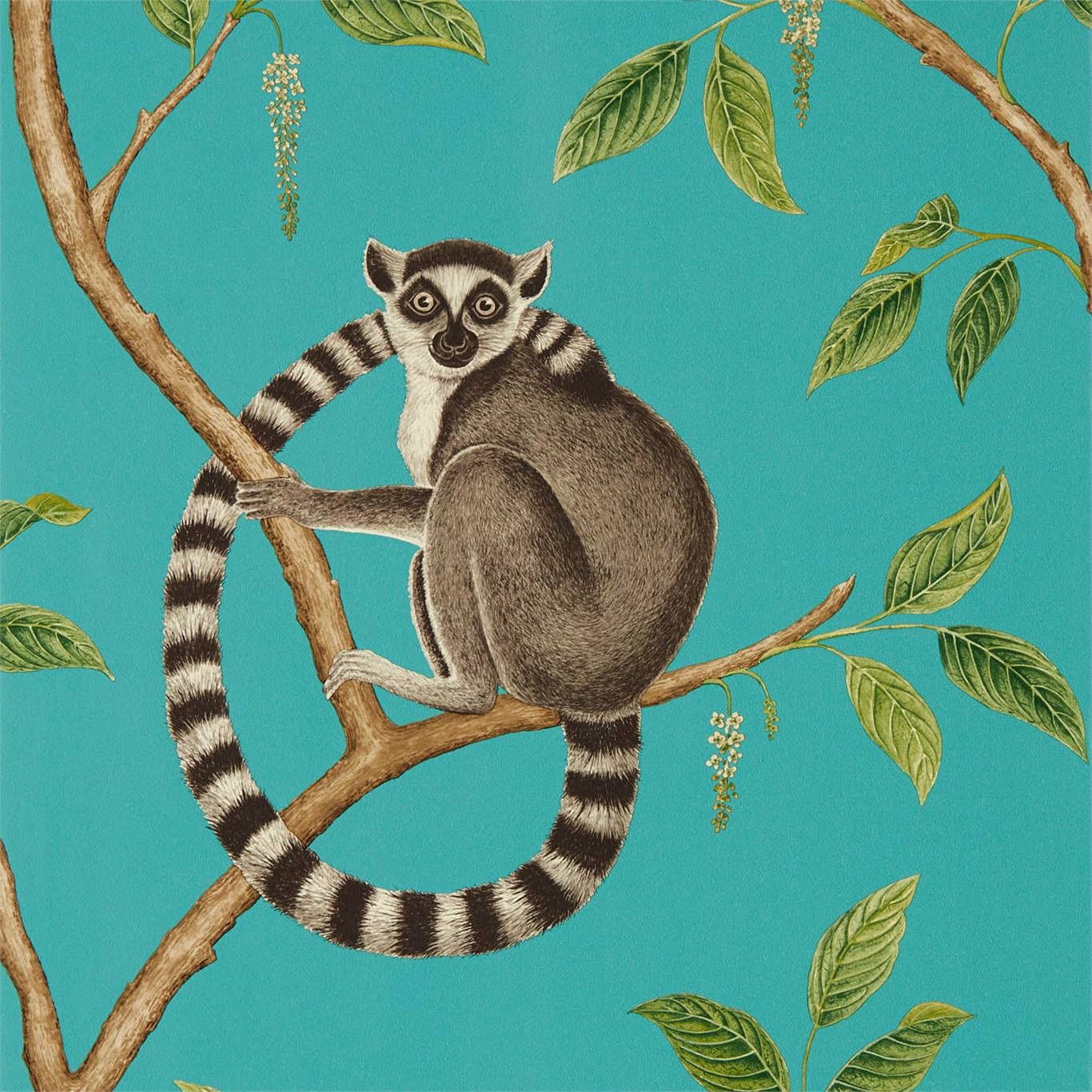 Sanderson tapeet Ringtailed Lemur