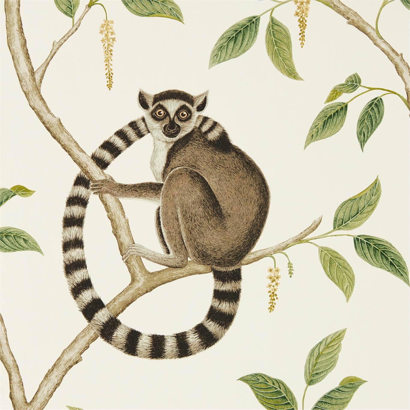 Sanderson tapeet Ringtailed Lemur