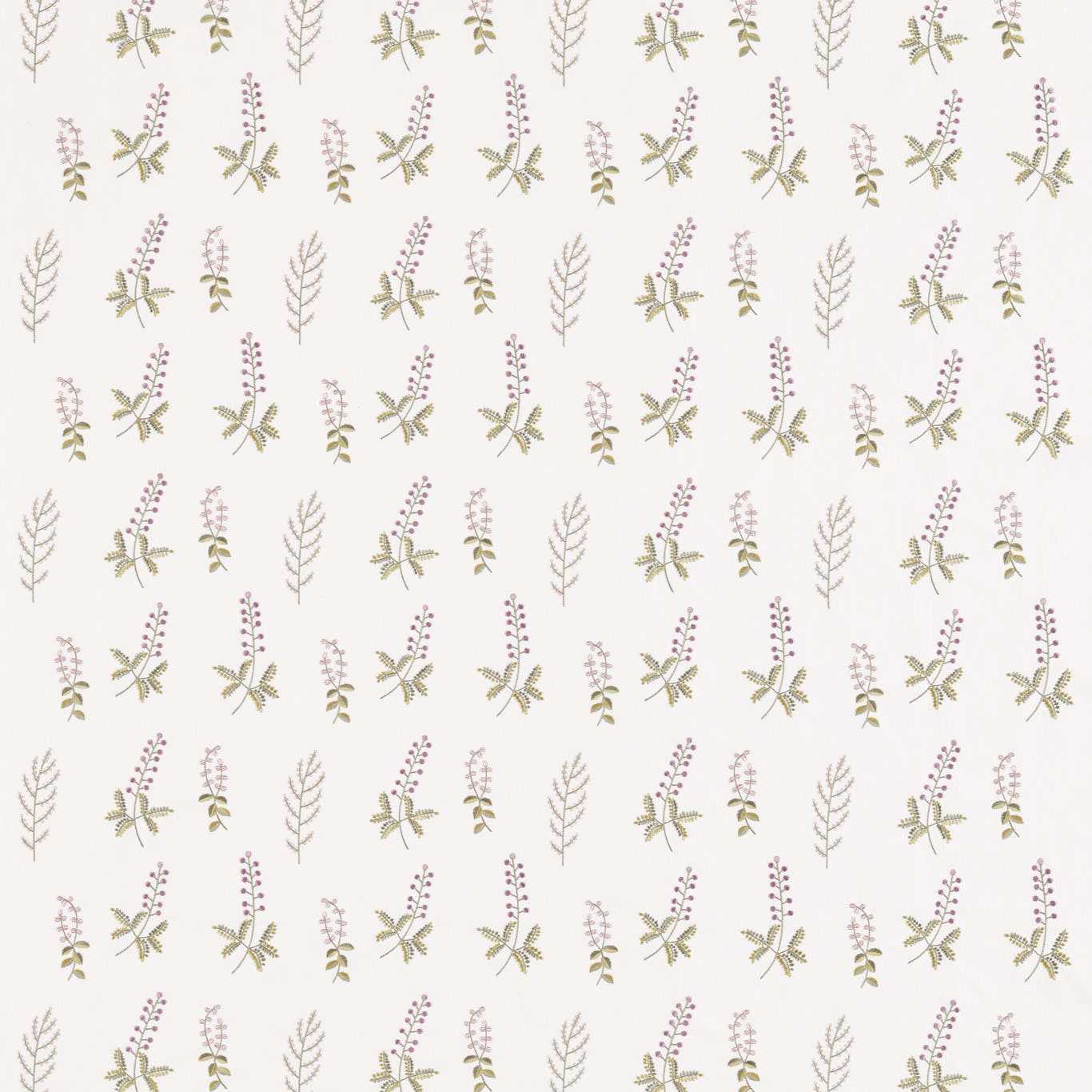 Sanderson kangas Bilberry