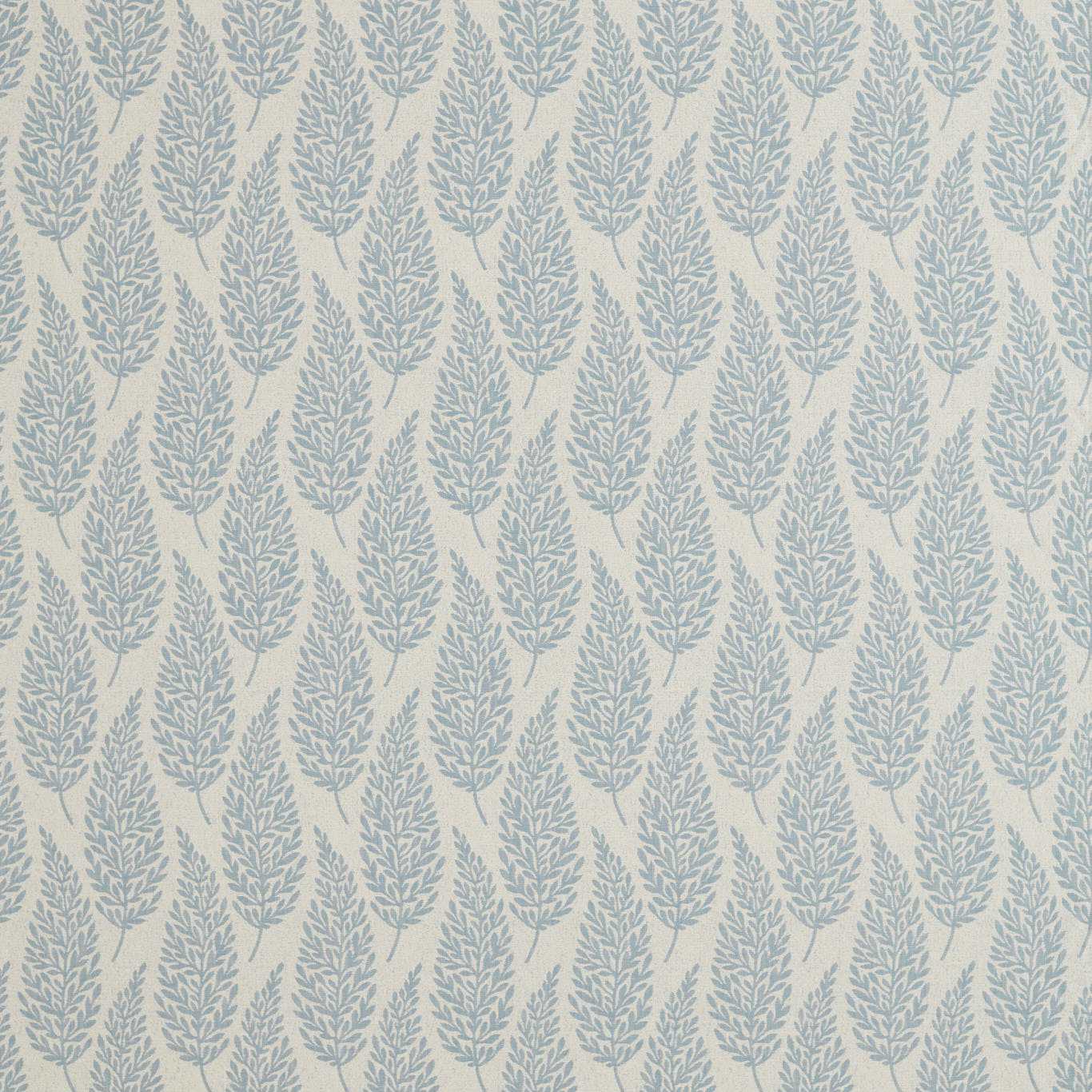 Sanderson kangas Elm