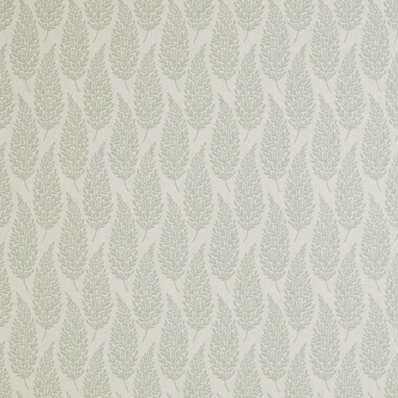 Sanderson kangas Elm