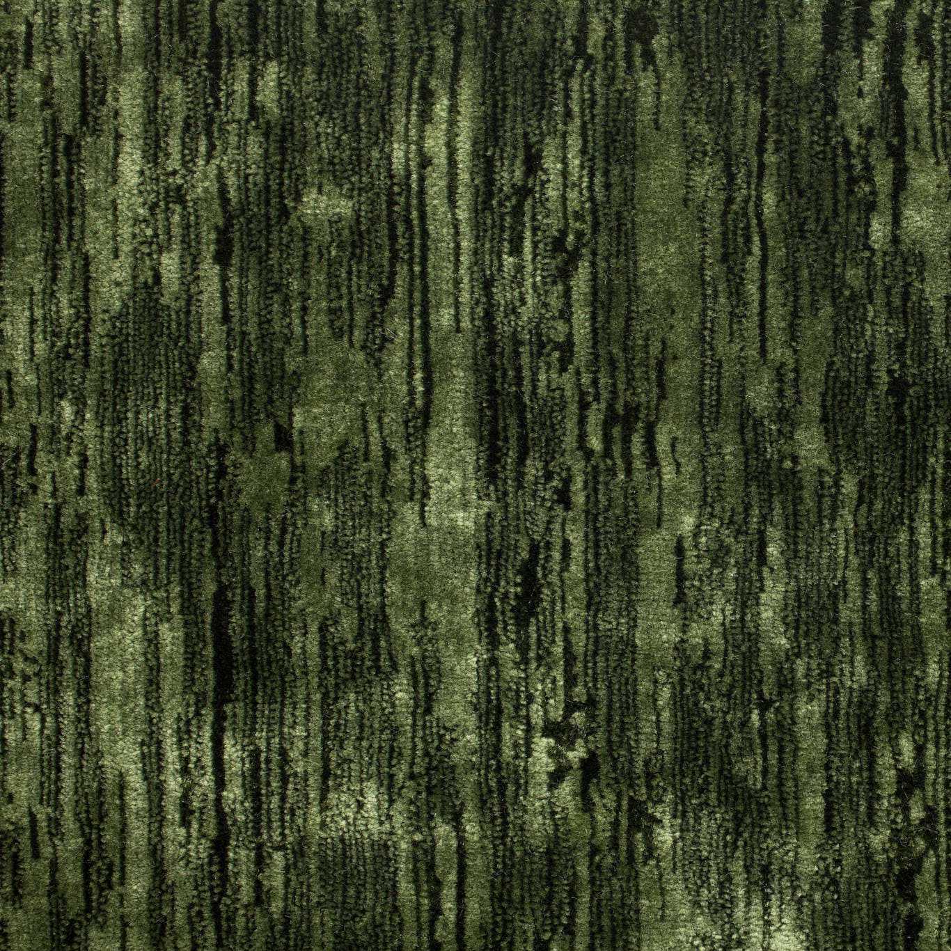 Sanderson kangas Icaria