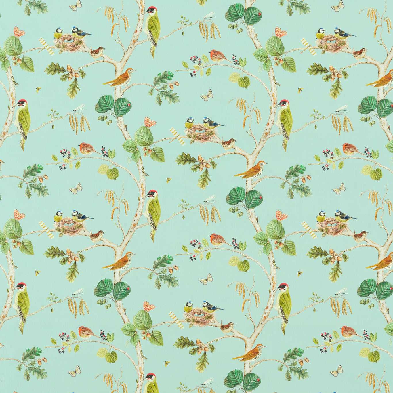 Sanderson kangas Woodland Chorus
