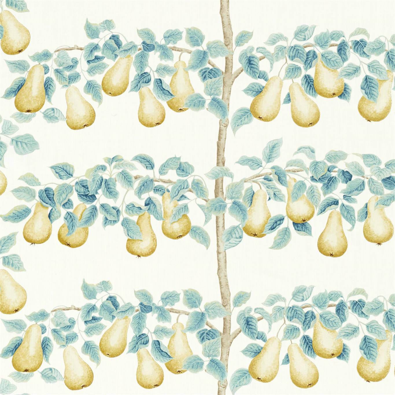 Sanderson kangas Perry Pears