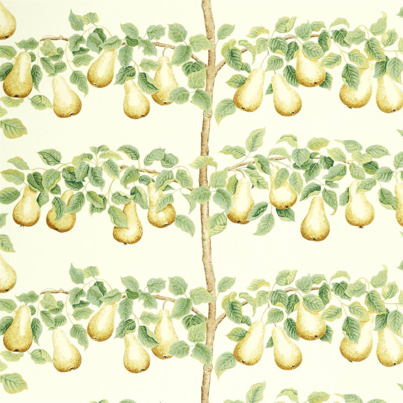 Sanderson kangas Perry Pears