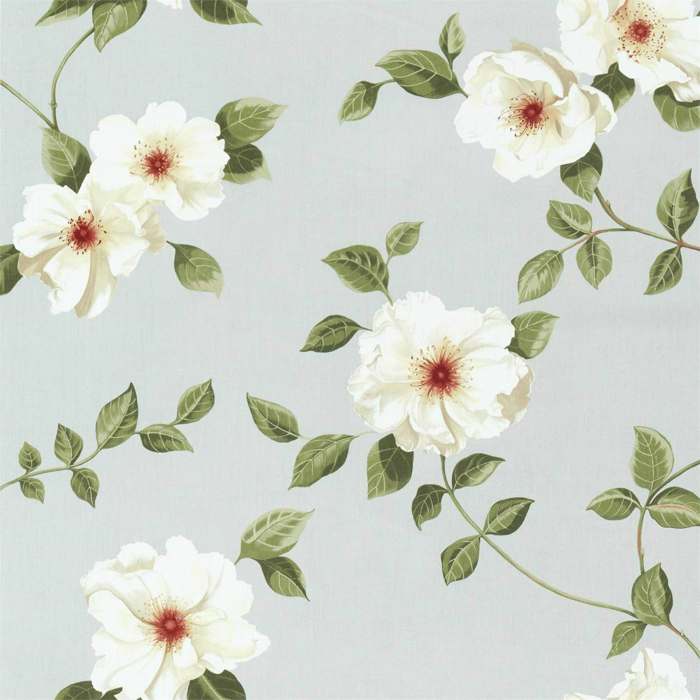 Sanderson kangas Poet`s Rose