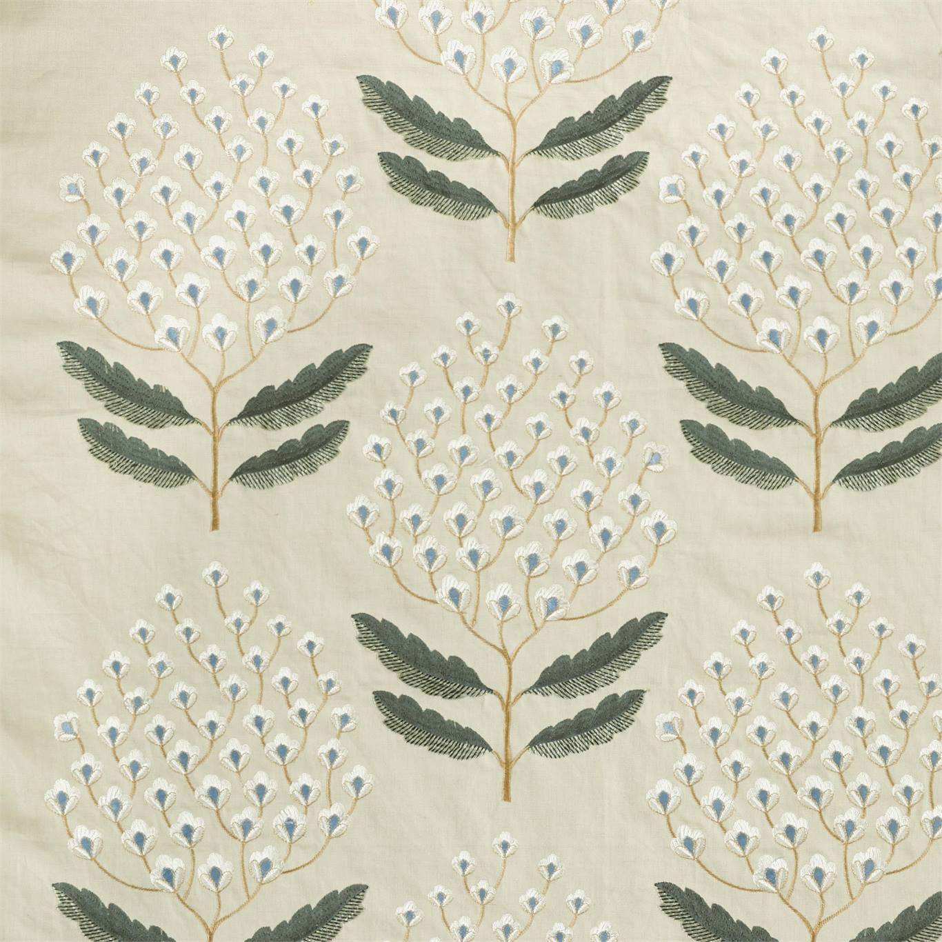 Sanderson kangas Bellis